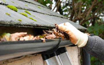 gutter cleaning Vale